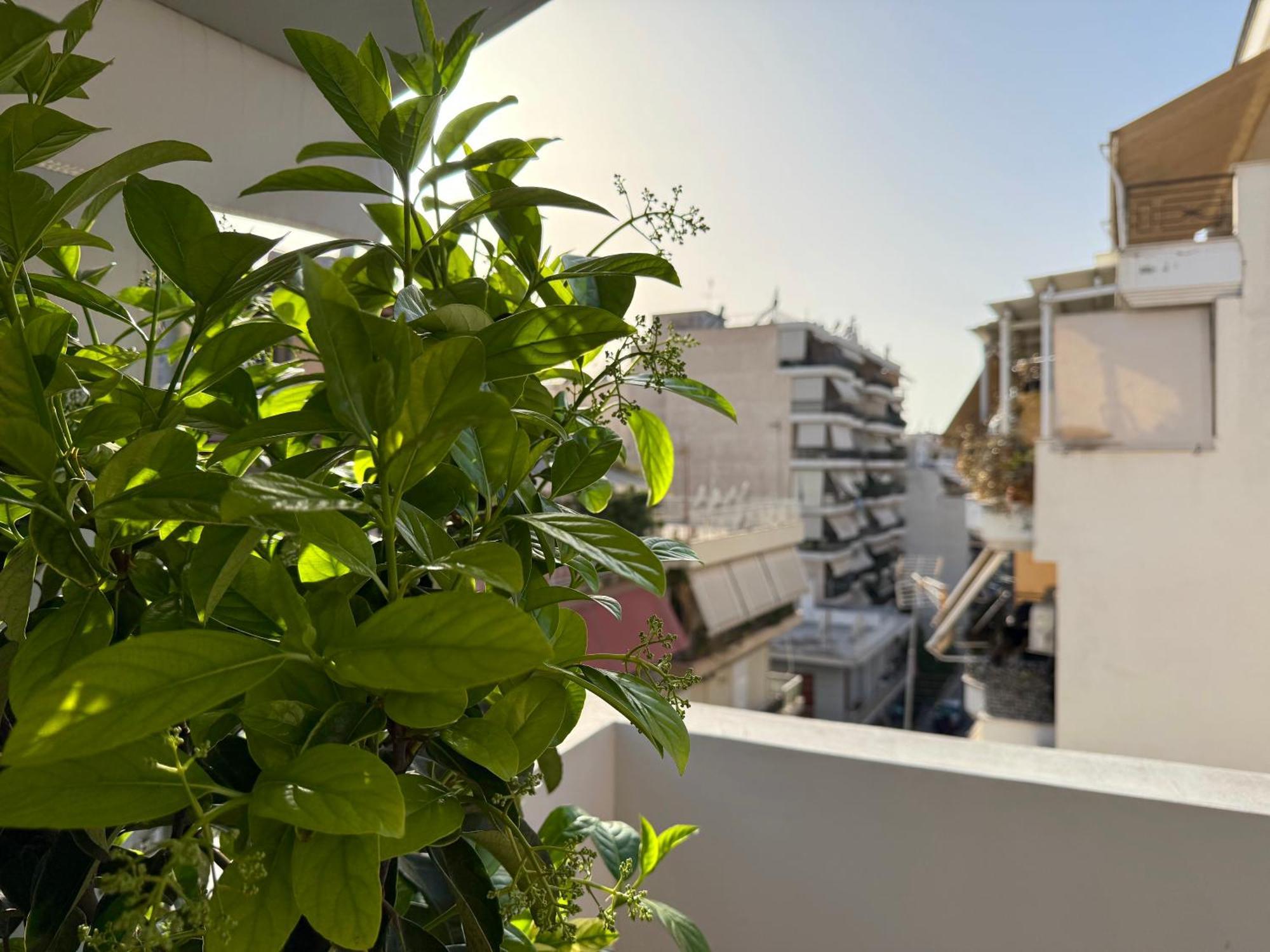 P&P Boutique Apartments Athens Exterior photo